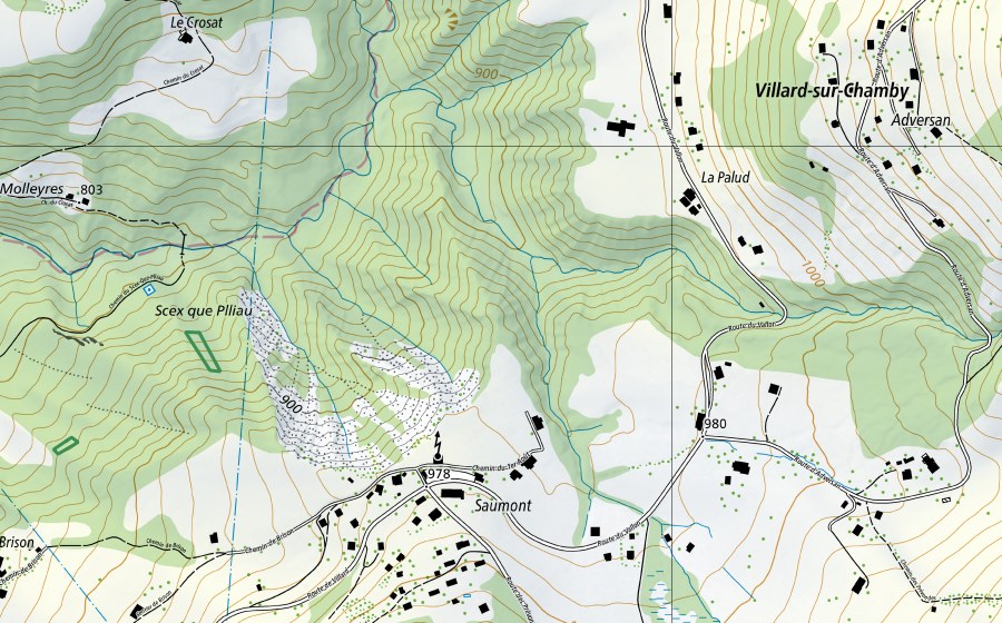 Carta nazionale swisstopo con il perimetro protetto di Bois-aux-Anets (Riserva naturale)