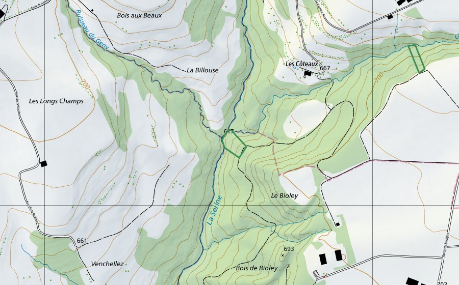 Landeskarte swisstopo mit dem Schutzperimeter von Bois de Bioley (Naturschutzgebiet)
