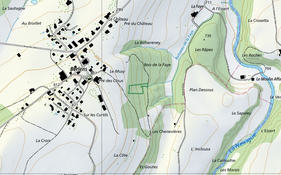 swisstopo national map showing the protected perimeter of Bois de la Faye (Nature reserve)