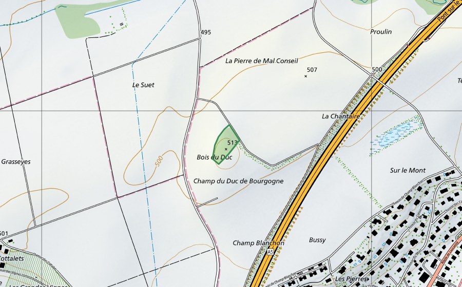 swisstopo national map showing the protected perimeter of Bois du Duc (Nature reserve)