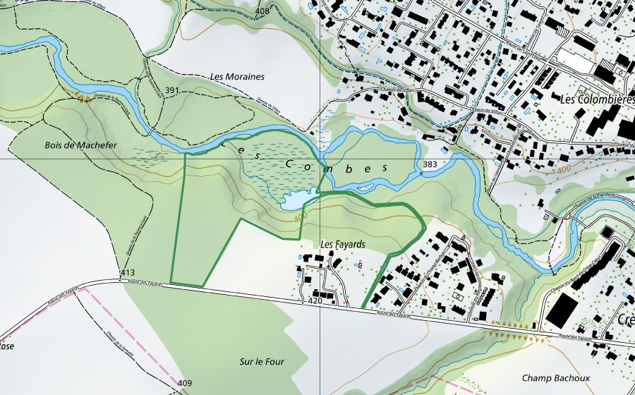 Carte nationale swisstopo avec le périmètre protégé de Bois du Faisan (Réserve naturelle)