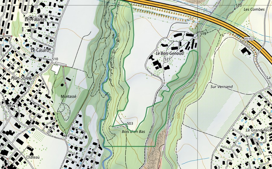 Carte nationale swisstopo avec le périmètre protégé de Bois-Genoud (Réserve naturelle)