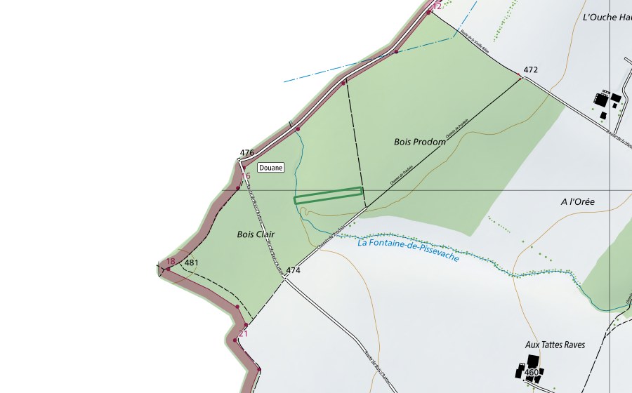 Landeskarte swisstopo mit dem Schutzperimeter von Bois Prodom (Naturschutzgebiet)