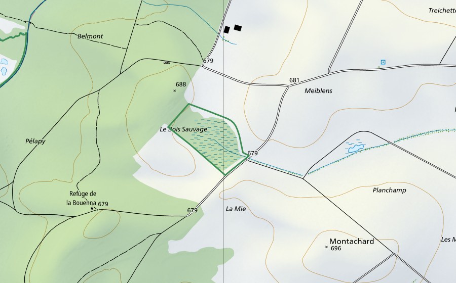 Carte nationale swisstopo avec le périmètre protégé de Bois Sauvage (Réserve naturelle)