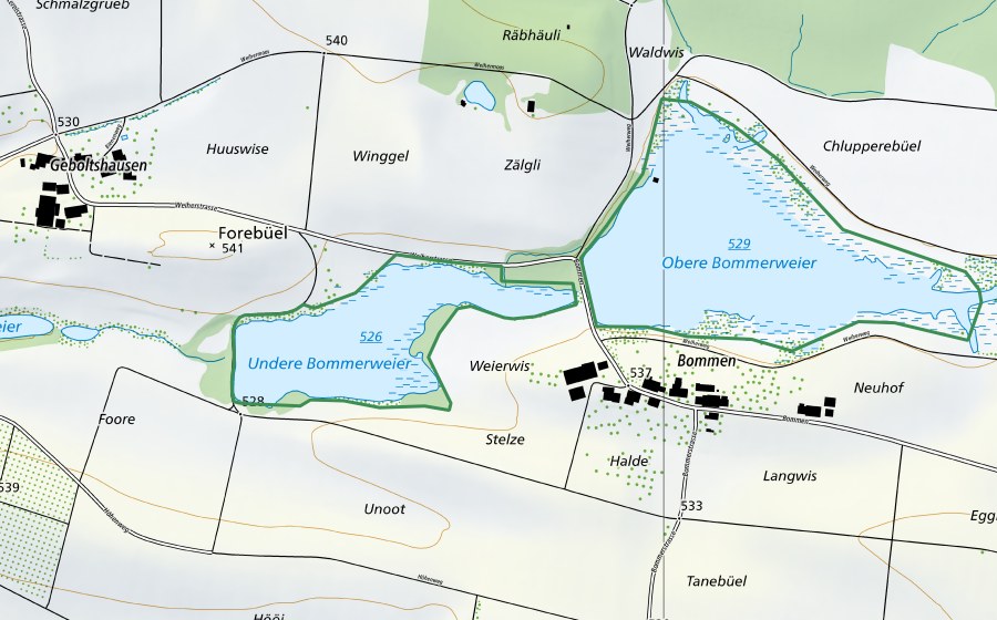 swisstopo national map showing the protected perimeter of Bommer Weiher (Nature reserve)