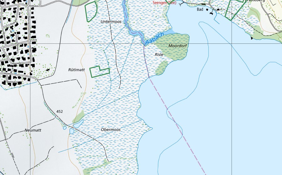 swisstopo national map showing the protected perimeter of Boniswiler & Seenger Moos (Nature reserve)