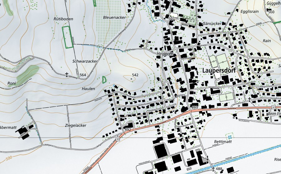 Landeskarte swisstopo mit dem Schutzperimeter von Borershof (Naturschutzgebiet)