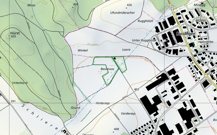 Carte nationale swisstopo avec le périmètre protégé de Bösimoos (Réserve naturelle)