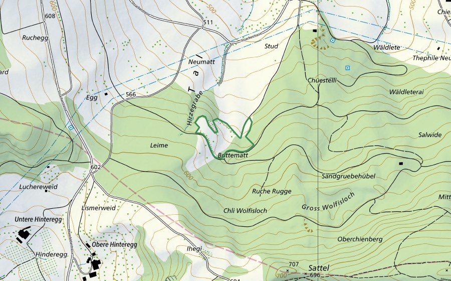 Landeskarte swisstopo mit dem Schutzperimeter von Bottenmatt (Naturschutzgebiet)