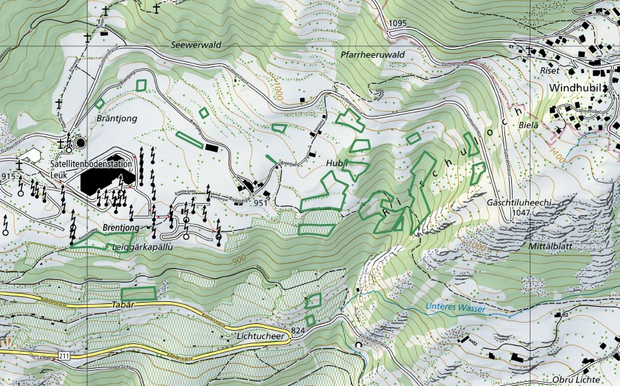 Carta nazionale swisstopo con il perimetro protetto di Brentjong (Riserva naturale)