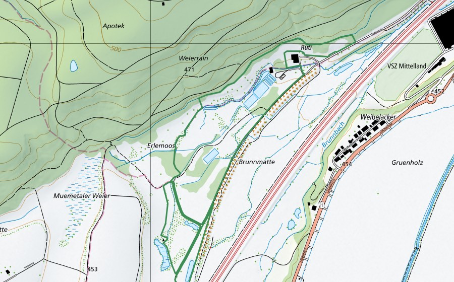 Landeskarte swisstopo mit dem Schutzperimeter von Brunnenkresse (Naturschutzgebiet)