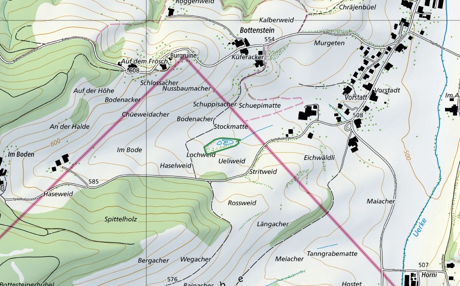 Carte nationale swisstopo avec le périmètre protégé de Brunnlochmatte (Réserve naturelle)