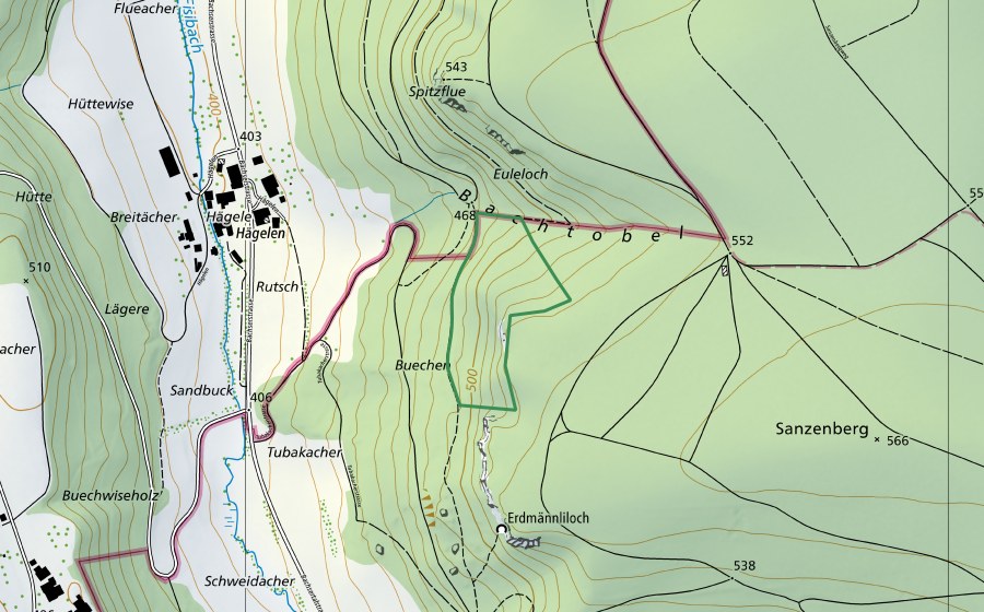 Landeskarte swisstopo mit dem Schutzperimeter von Buechen (Naturschutzgebiet)