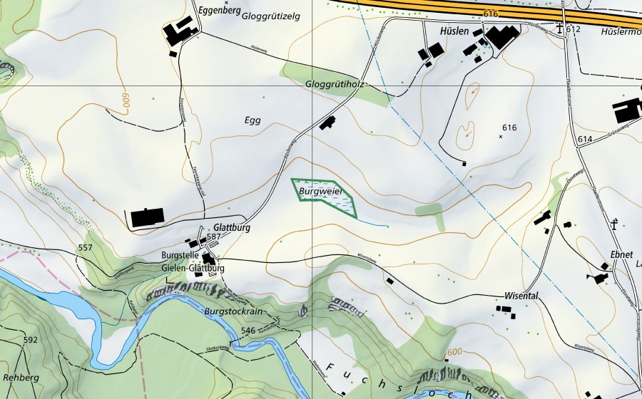 Carte nationale swisstopo avec le périmètre protégé de Burgweiher Riet (Réserve naturelle)