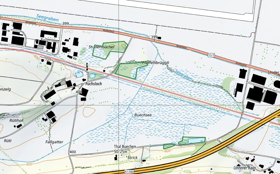 Carte nationale swisstopo avec le périmètre protégé de Buriet/Buechsee (Réserve naturelle)