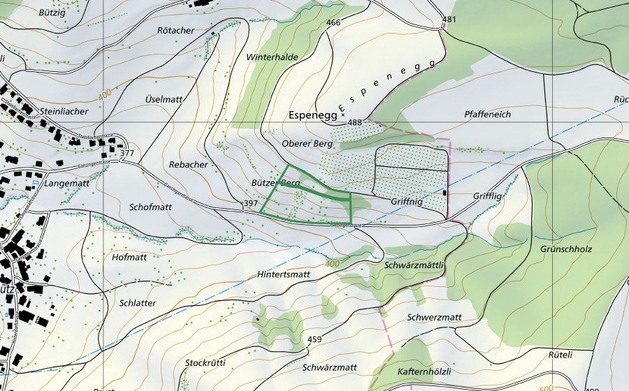 Carta nazionale swisstopo con il perimetro protetto di Bützerberg (Riserva naturale)