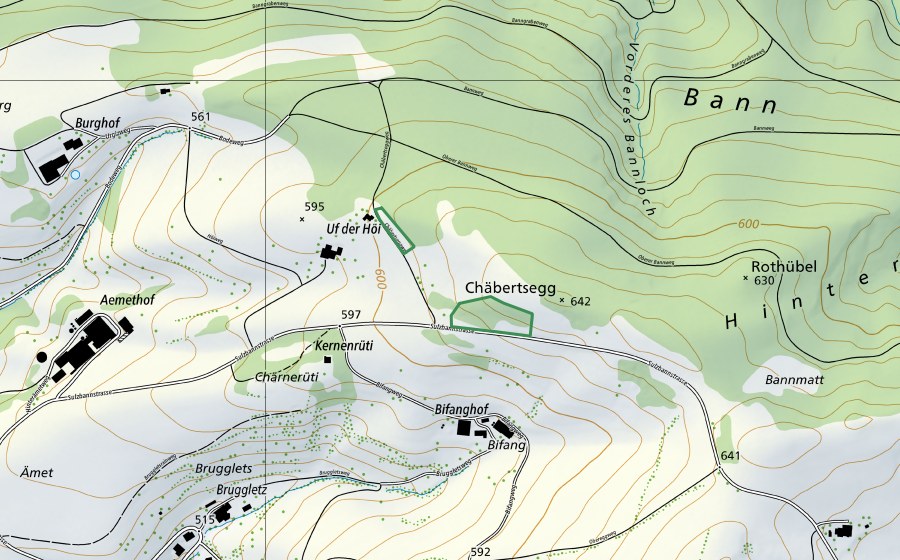 Carta nazionale swisstopo con il perimetro protetto di Chäbertsegg (Riserva naturale)
