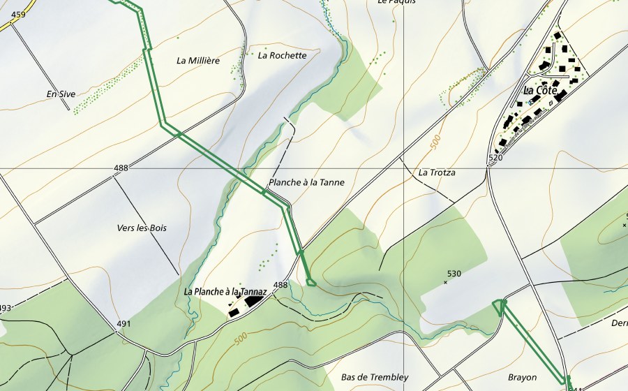 swisstopo national map showing the protected perimeter of Champ de la Fleur (Nature reserve)