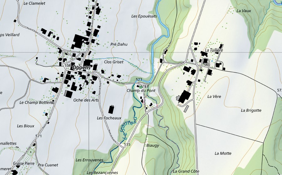 Landeskarte swisstopo mit dem Schutzperimeter von Champ du Pont (Naturschutzgebiet)