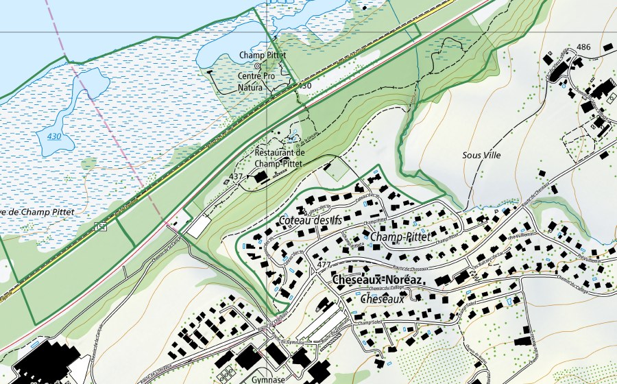 Carte nationale swisstopo avec le périmètre protégé de Champ Pittet (Réserve naturelle)