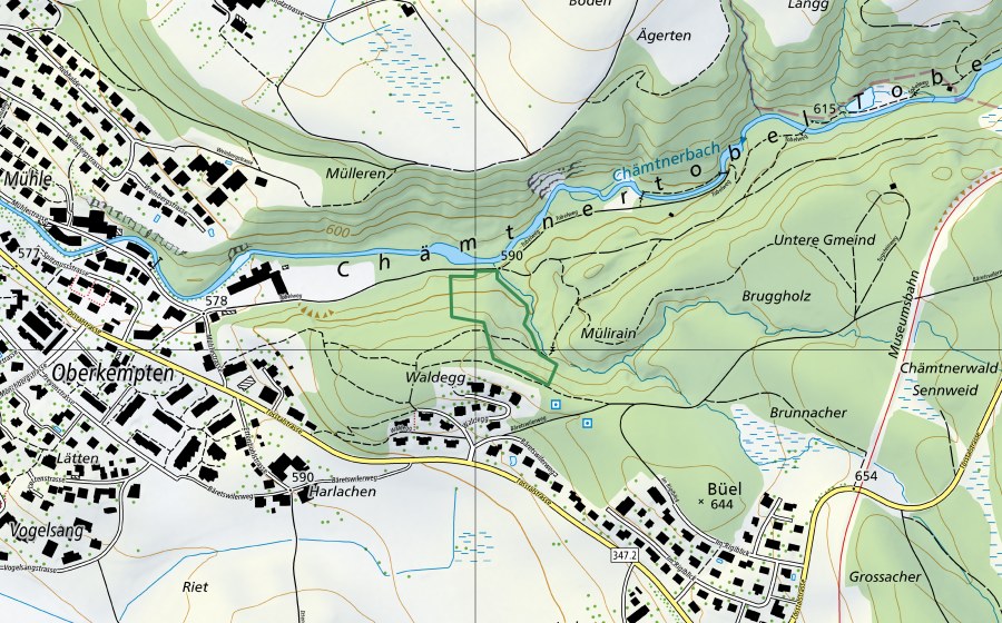 Carta nazionale swisstopo con il perimetro protetto di Chämtnerwald (Riserva naturale)
