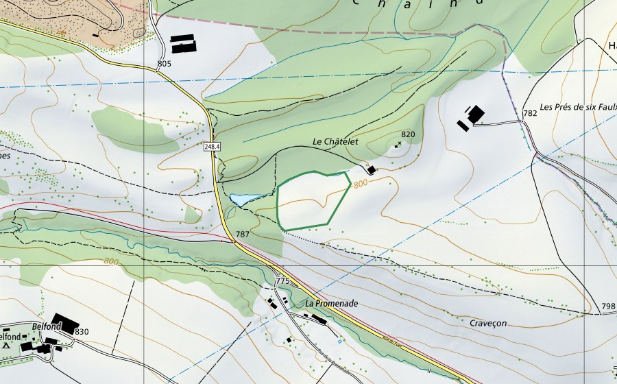 Landeskarte swisstopo mit dem Schutzperimeter von Chatelet Tavannes (Naturschutzgebiet)