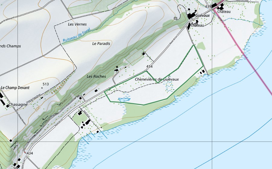 Landeskarte swisstopo mit dem Schutzperimeter von Chenevières de Guévaux (Naturschutzgebiet)