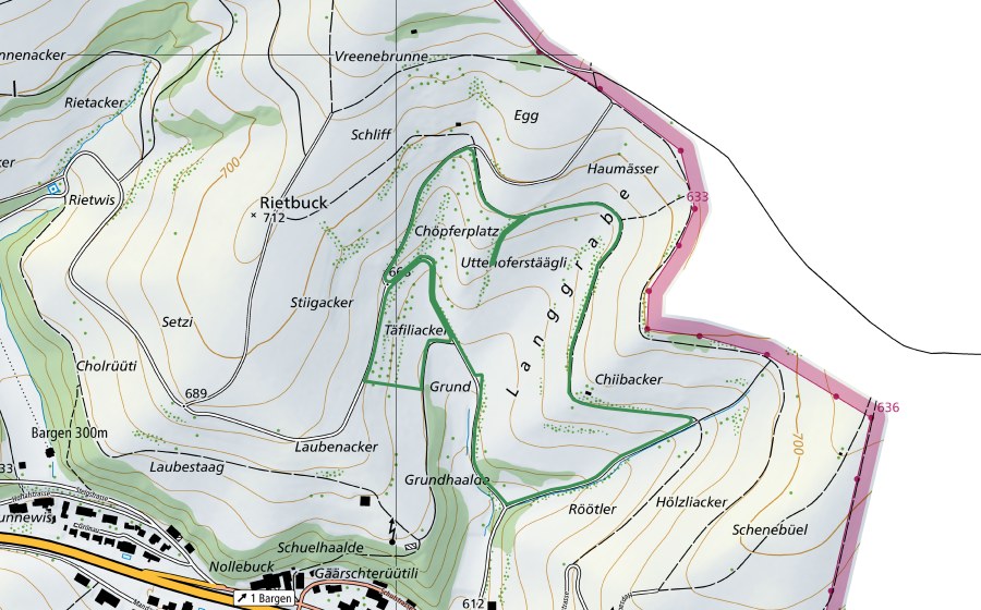 swisstopo national map showing the protected perimeter of Chiibacker (Nature reserve)