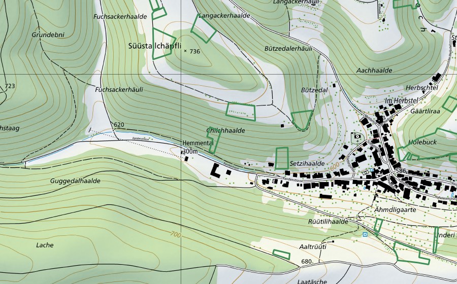 Landeskarte swisstopo mit dem Schutzperimeter von ​Chilchhaalde (Naturschutzgebiet)
