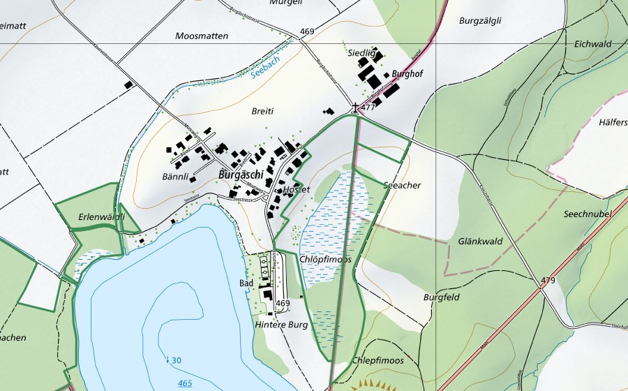 Carte nationale swisstopo avec le périmètre protégé de Chlepfibeerimoos (Réserve naturelle)