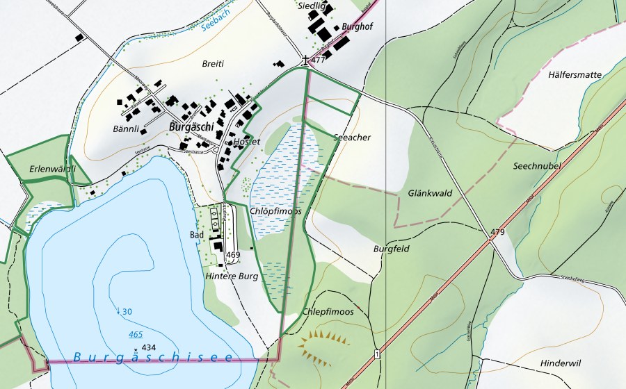 Landeskarte swisstopo mit dem Schutzperimeter von Chlepfibeerimoos (Naturschutzgebiet)