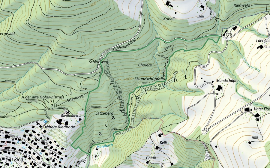 Carte nationale swisstopo avec le périmètre protégé de Cholereschlucht (Réserve naturelle)