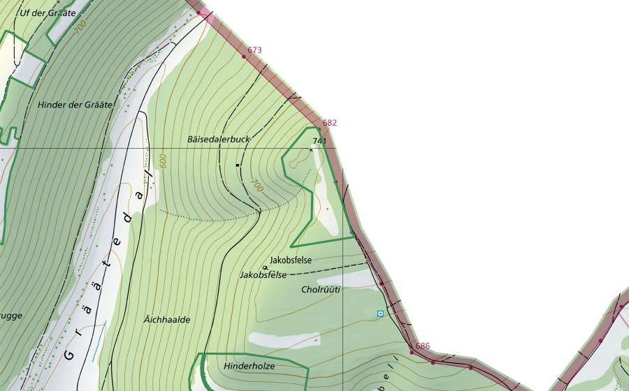 Carte nationale swisstopo avec le périmètre protégé de ​Cholrüüti (Réserve naturelle)