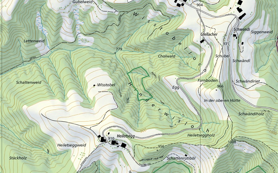 swisstopo national map showing the protected perimeter of Cholwald (Nature reserve)