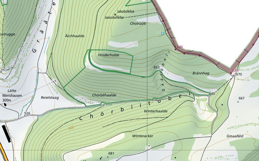 Carte nationale swisstopo avec le périmètre protégé de ​Chörblihaalde (Réserve naturelle)
