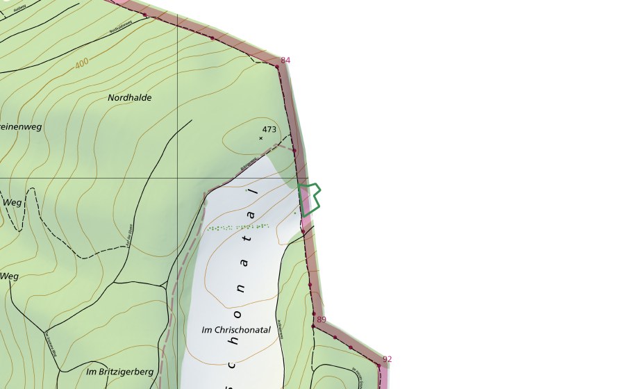 Carte nationale swisstopo avec le périmètre protégé de Chrischonatal (Réserve naturelle)