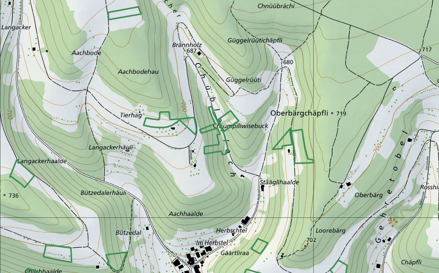 Landeskarte swisstopo mit dem Schutzperimeter von ​Chüblerloch (Naturschutzgebiet)