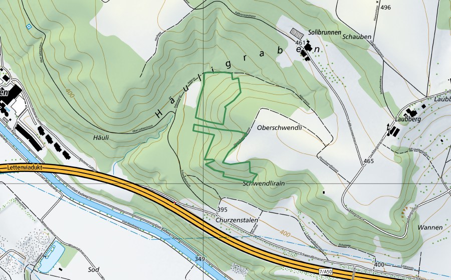 Carte nationale swisstopo avec le périmètre protégé de Churzenstalen (Réserve naturelle)