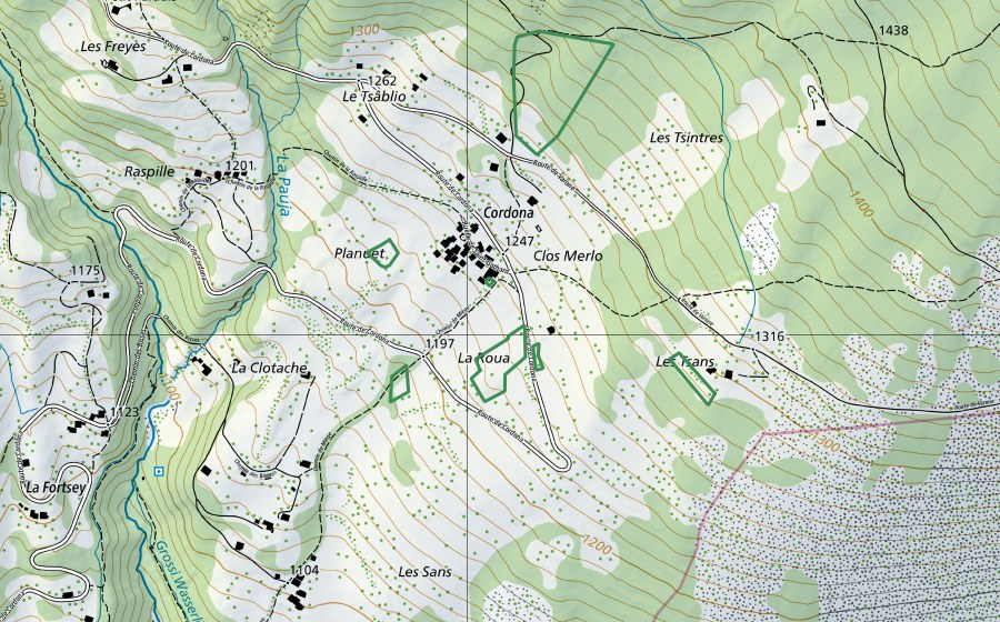 Carte nationale swisstopo avec le périmètre protégé de Cordona (Réserve naturelle)