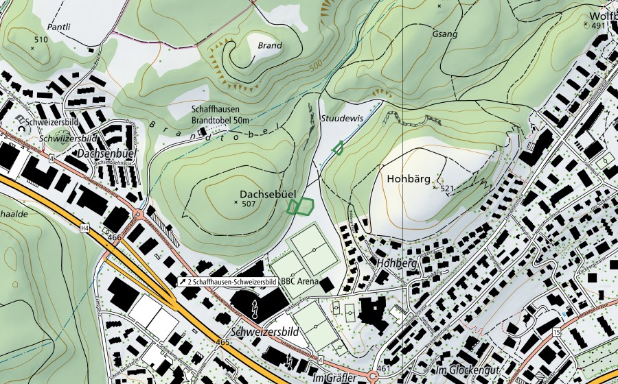 Landeskarte swisstopo mit dem Schutzperimeter von ​Dachsebüel (Naturschutzgebiet)