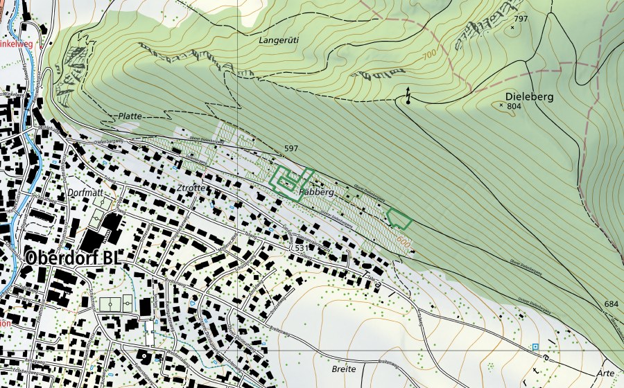 swisstopo national map showing the protected perimeter of Dielenberg (Nature reserve)