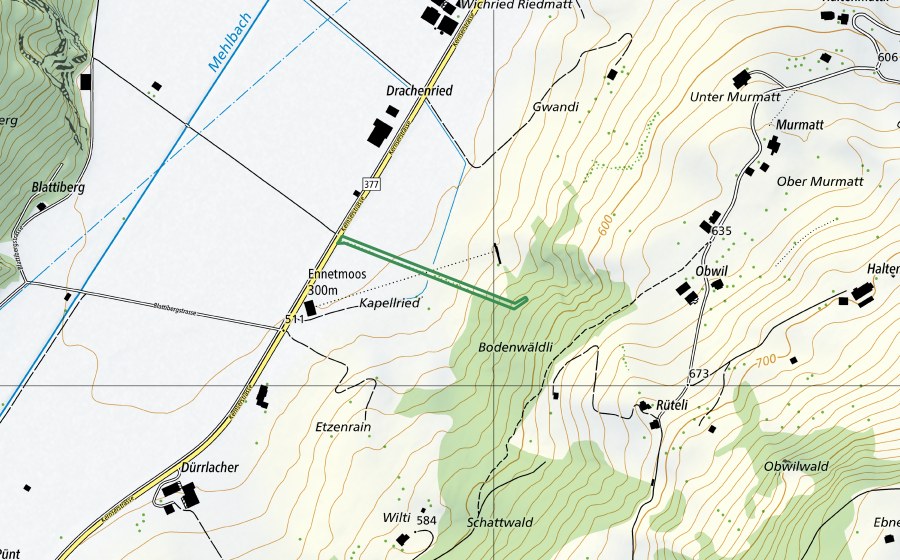 Landeskarte swisstopo mit dem Schutzperimeter von Drachenried (Naturschutzgebiet)