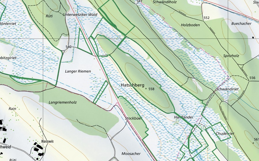 swisstopo national map showing the protected perimeter of Drumlinlandschaft (Nature reserve)