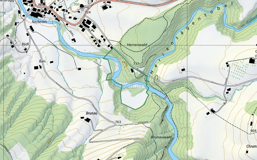 Carte nationale swisstopo avec le périmètre protégé de Dürrenmoos (Réserve naturelle)