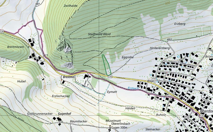 swisstopo national map showing the protected perimeter of Egg (Nature reserve)