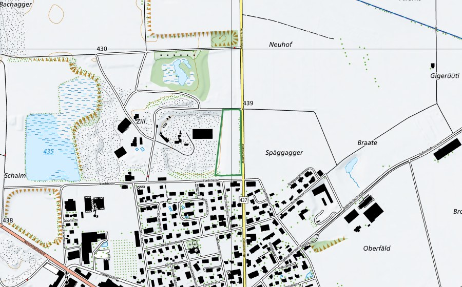 Carte nationale swisstopo avec le périmètre protégé de Egolfwiese/Zil (Réserve naturelle)