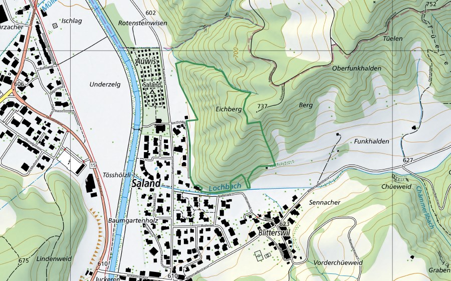 Landeskarte swisstopo mit dem Schutzperimeter von Eichberg (Naturschutzgebiet)