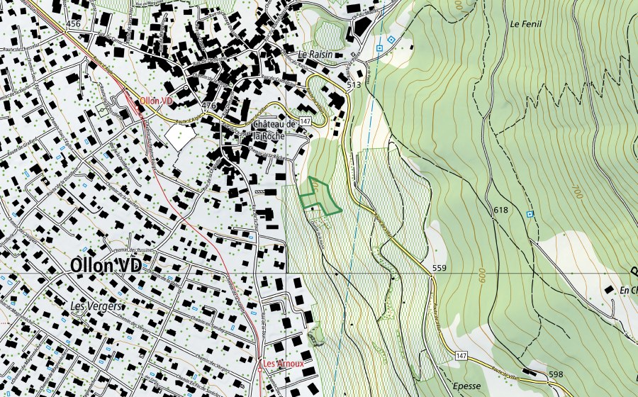 Carte nationale swisstopo avec le périmètre protégé de En Epeisse Dessous (Réserve naturelle)