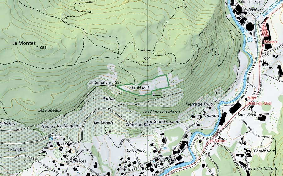swisstopo national map showing the protected perimeter of En Genièvre (Nature reserve)