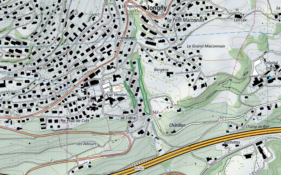Landeskarte swisstopo mit dem Schutzperimeter von En Praz-Maigroz (Naturschutzgebiet)